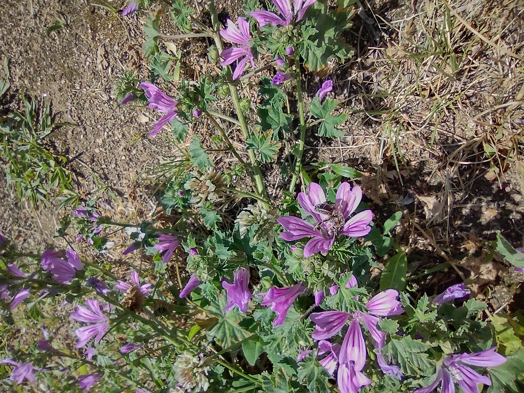 No s'ha trobat l'arxiu